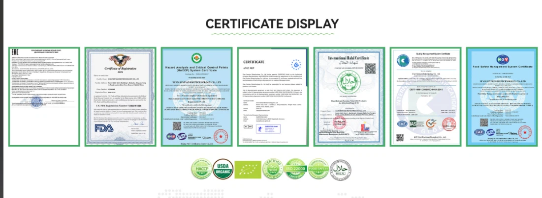 20250317153635 20250317153635